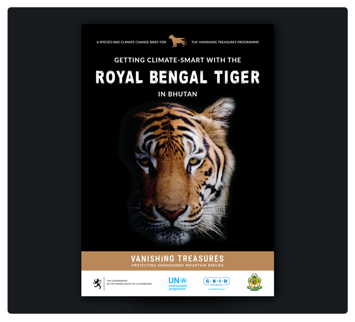 Royal Bengal Tiger - Vanishing Treasures
